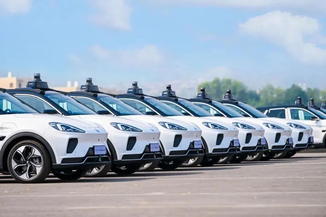 1665990166454012.jpg 03.jpg